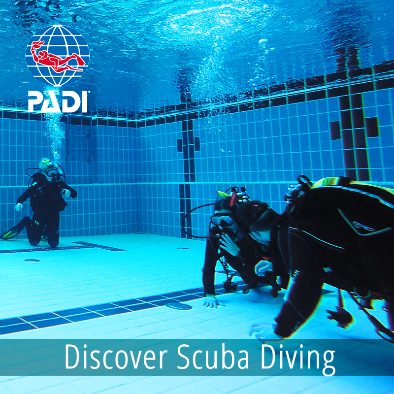 Discover Scuba Diving (Schnuppertauchen)