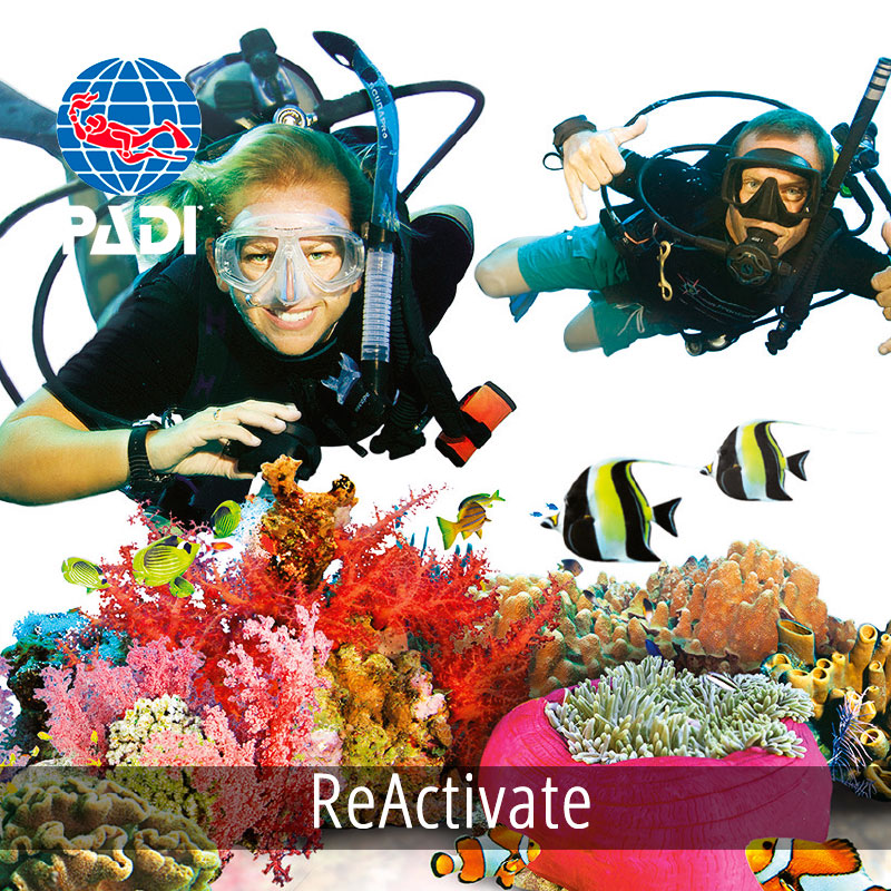 Padi ReActivate